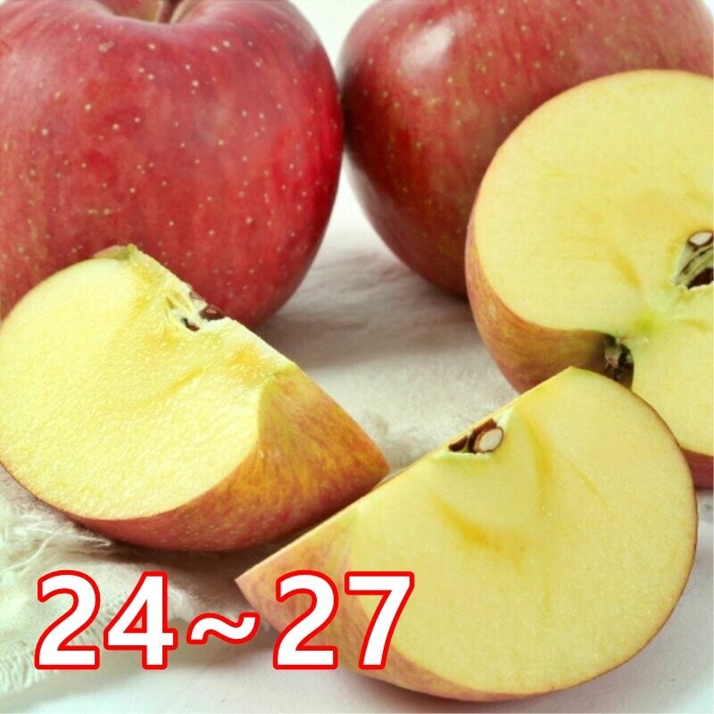 강원더몰,청정강원 양구사과(품종 : 부사 , 수량 : 24 ~ 27과)