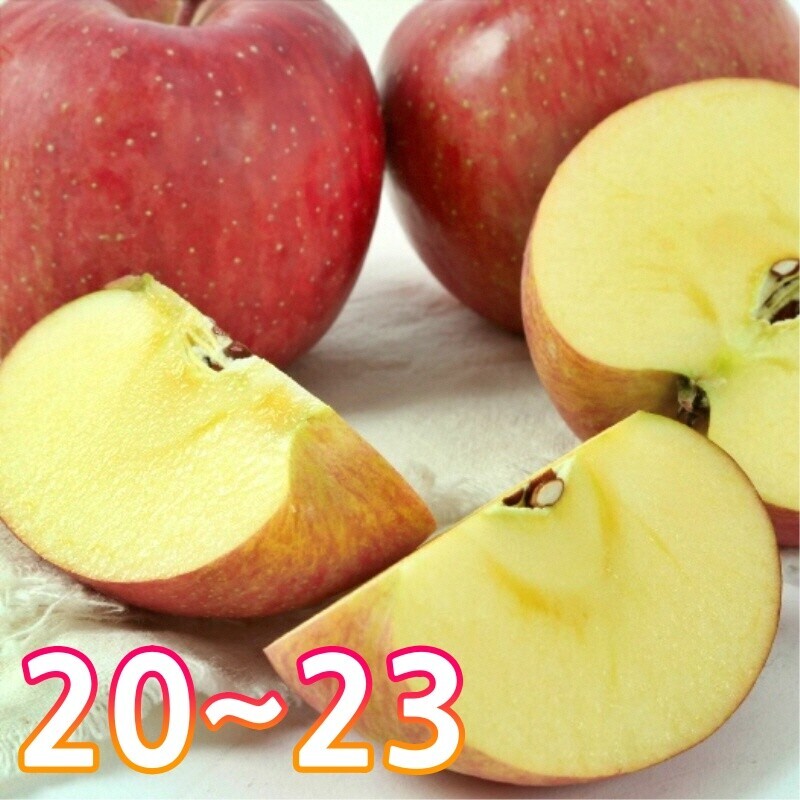 강원더몰,(라이브특가) 청정강원 양구사과(품종 : 부사 , 수량 : 20 ~ 23과)